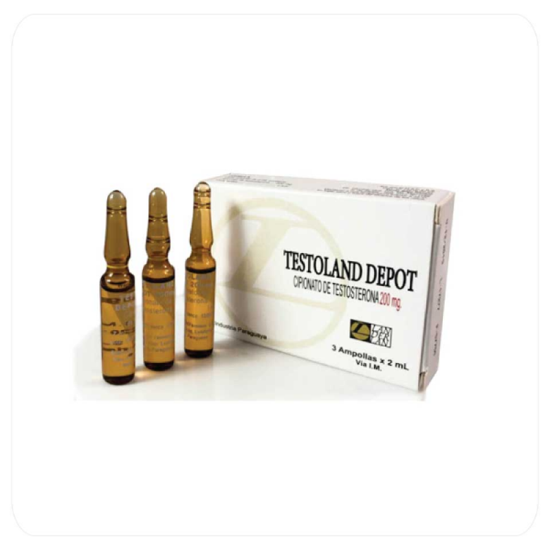 preocuparse mayor Tradicional Cipionato de testosterona Testoland Depot 200mg/3amp Landerlan – Inkafit